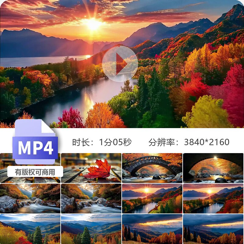 高清秋分金秋深秋枫叶银杏唯美空镜大自然风景航拍高清视频素材