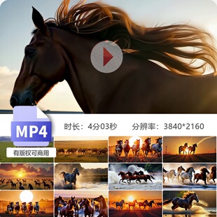 高清万马奔腾草原骏马策马奔腾汗血宝马群团队拼搏合作进视频素材