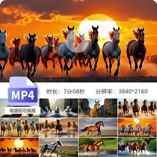 高清万马奔腾骏马奔驰慢镜头逆光踏水花团队拼搏进取宣传片素材