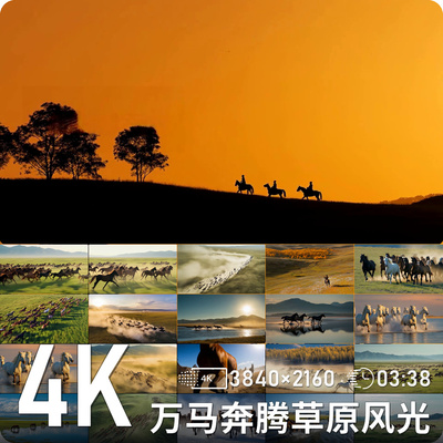 辽阔草原上万马奔腾尘土飞扬草原风光全景高清动态背景视频素材