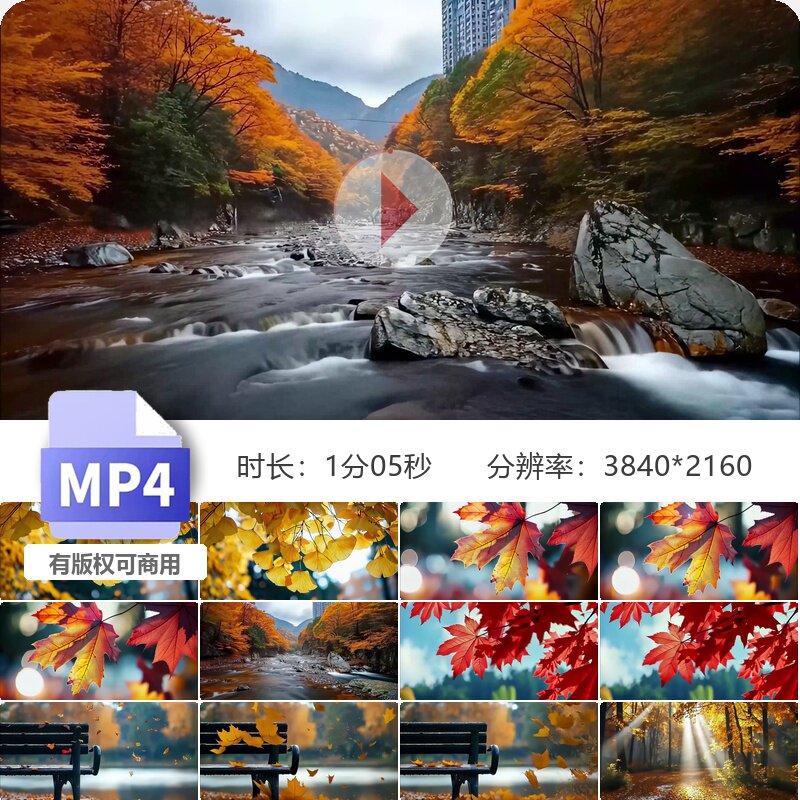 高清秋分金秋深秋枫叶银杏唯美空镜高气爽初秋季红树林阳视频素材