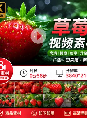高清草莓水果红色健康创意升格光影变化广告园采摘新鲜视频素材