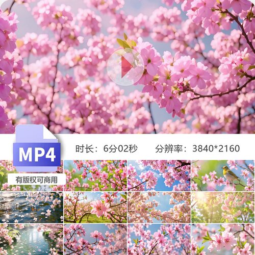 高清春日桃花盛开樱花唯美自然户外阳光粉色浪漫鸟语香视频素材