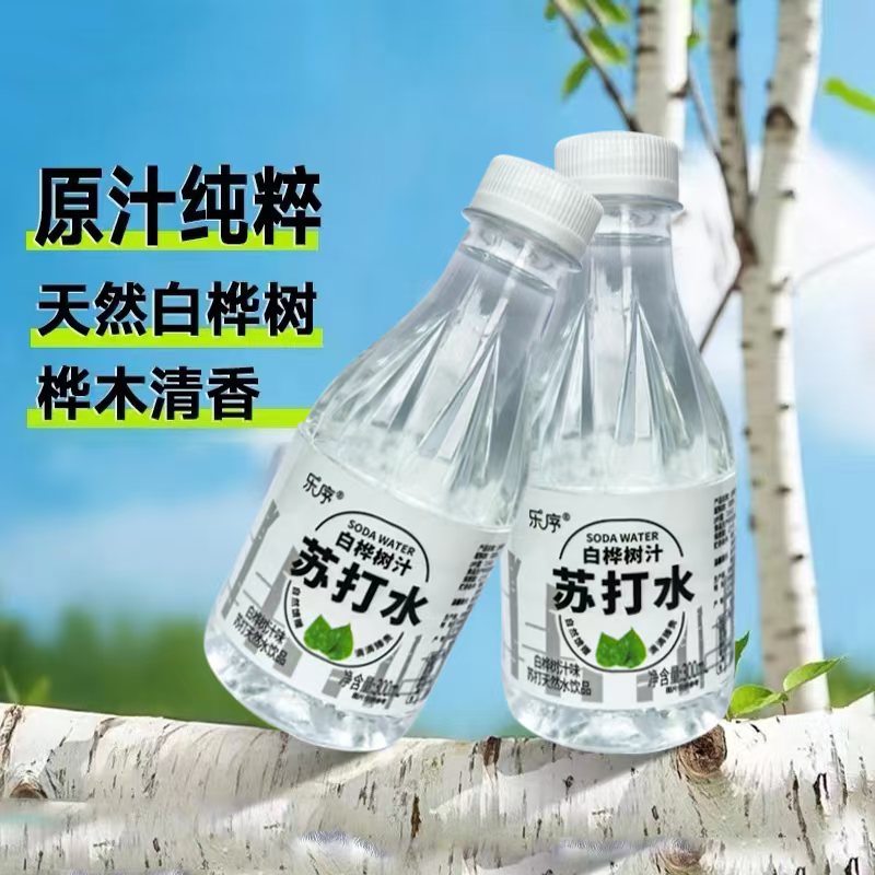 白桦树汁苏打水 苏打天然水饮品0卡0糖苏打水风味孕妇可饮用夏季