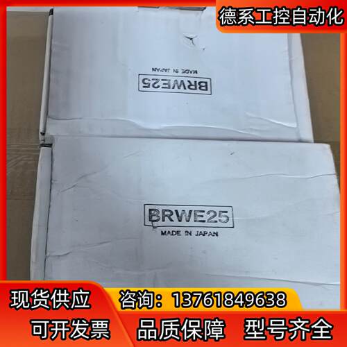 滚珠丝杆支撑座 BRWE 25，原装，SHASK，全