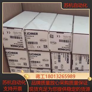 安士能EUCHNER安全门锁开关NM03VZA-M 0844