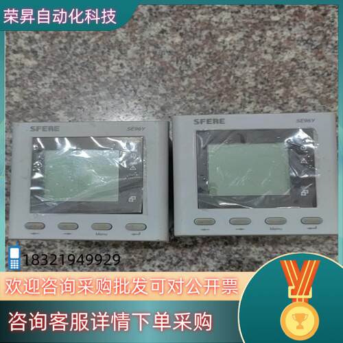 现货SFERE电子仪器表SE96Y-C