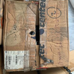 Endress+Hauser  压力变送器PMP75项目闲置