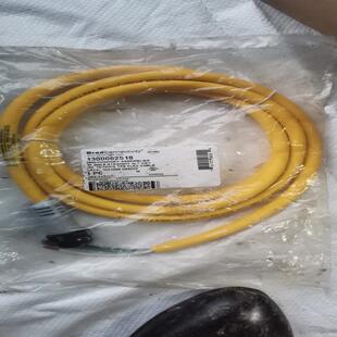 1300062518 Brad 103106K13M020