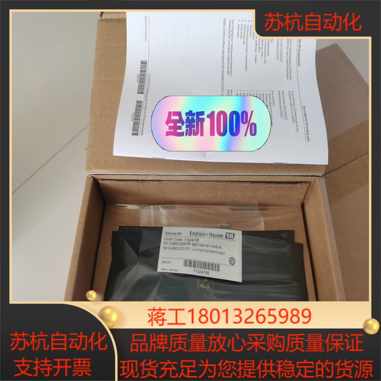 EndressHauser 71324198 CA80CO