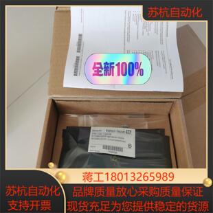 EndressHauser 71324198 CA80CO