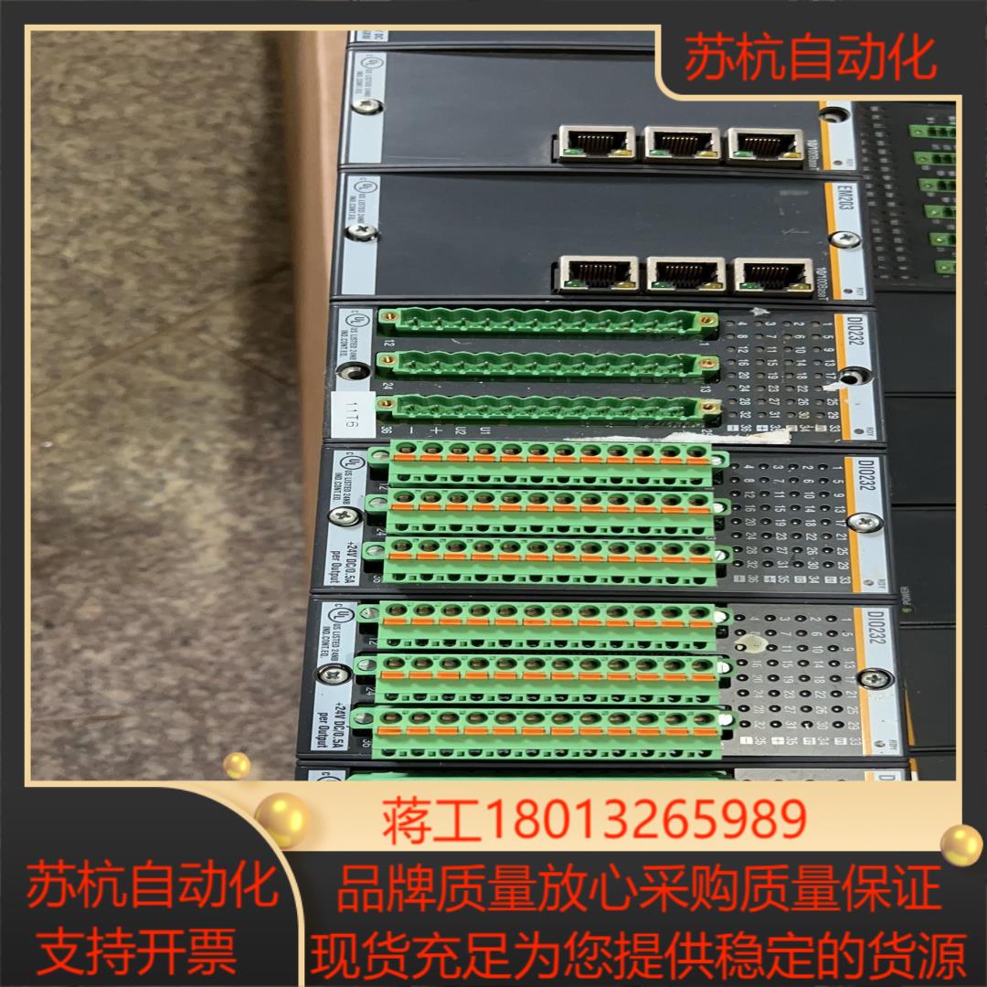 巴赫曼PL C模块EM203 DIO232