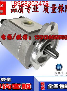 台湾康百世P105RP01GT P106RP01GT P135RP01GT齿轮泵油泵