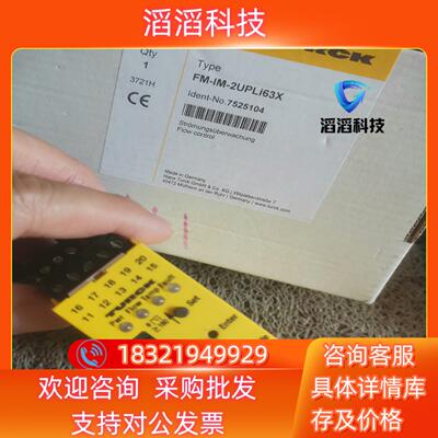 现货图尔克 继电器FM-IM-2UPLi63X 752510