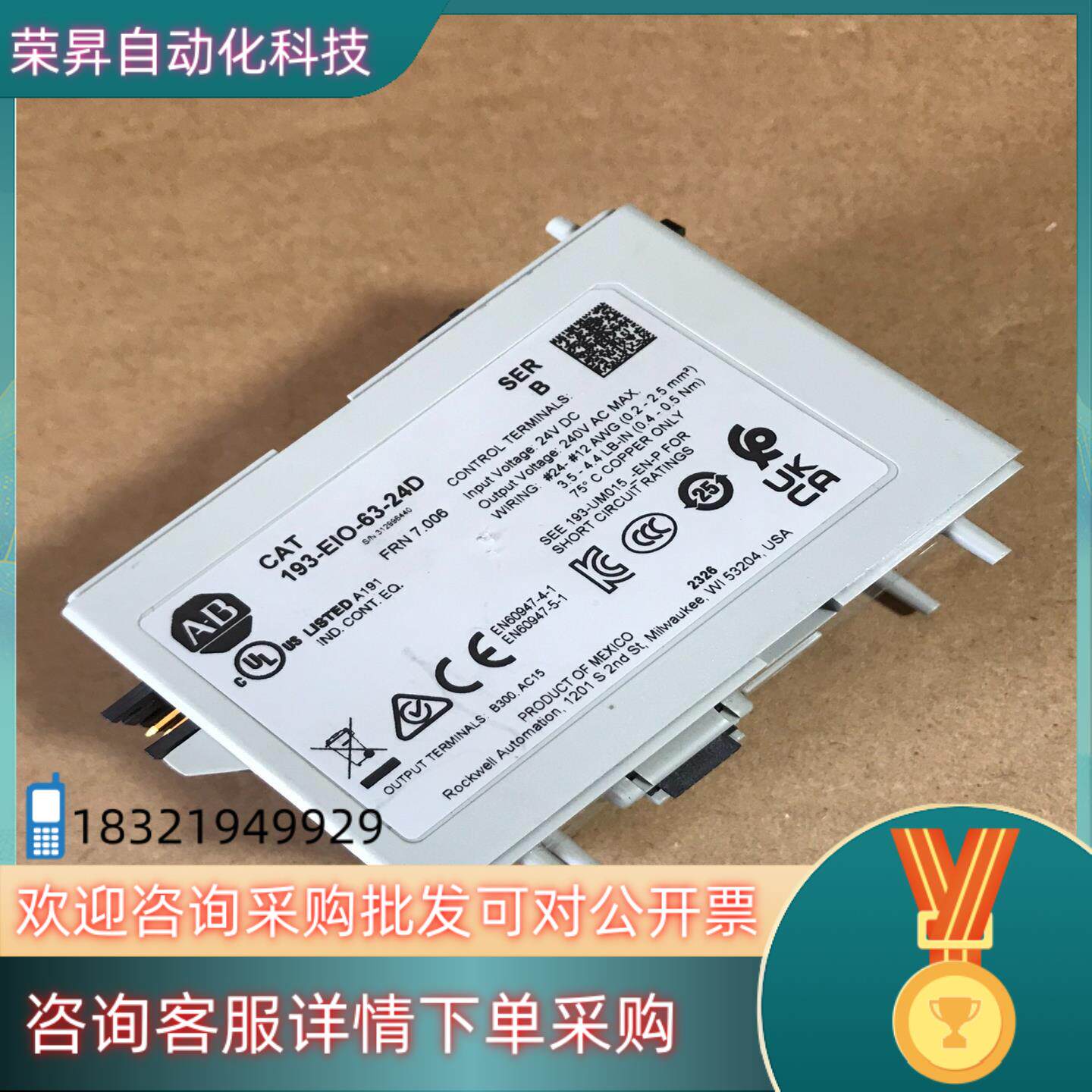 AB罗克韦尔193-EIO-63-24D 新的未使用 年份2