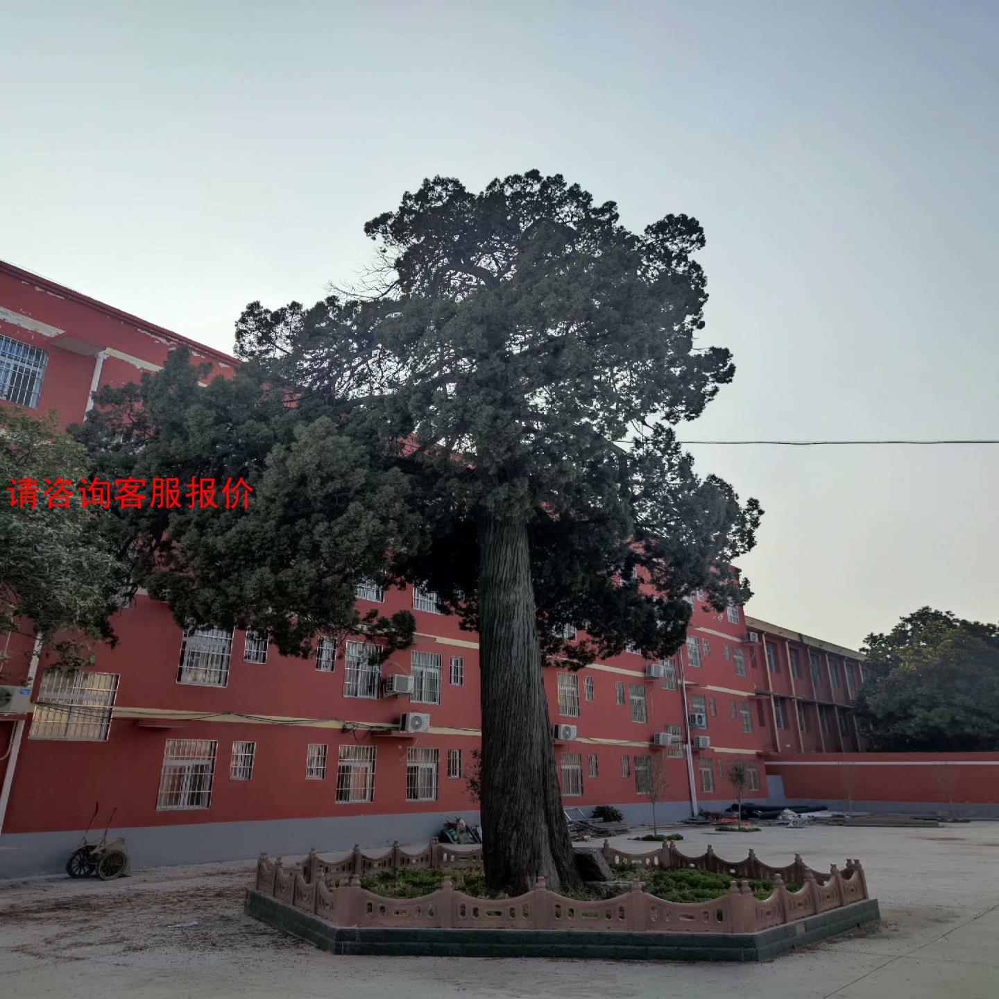 德国原装万可模块750-600，750-430，750-54