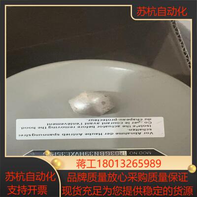 德国拜爵badger meter3/4寸伺服电机控制阀  型