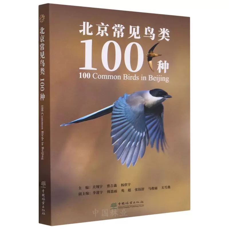 正版全新 北京常见鸟类100种 鸟类科普书籍