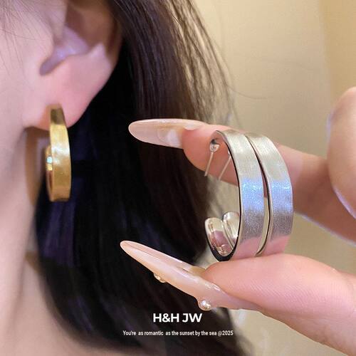 耳钉银针电镀小众18K拉丝真金C高级感耳环女设计感形百搭轻奢耳饰