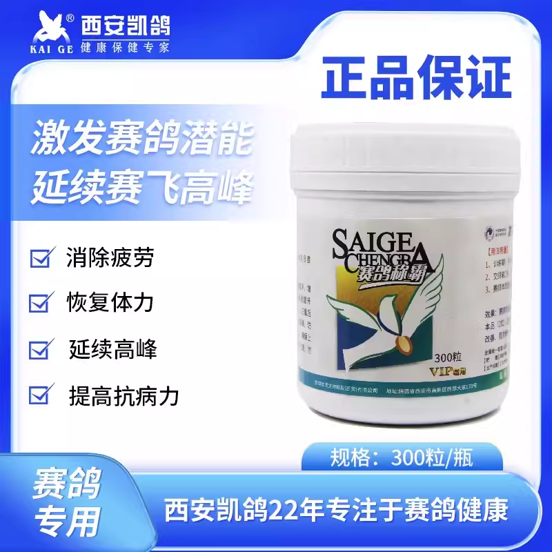 凯鸽鸽子药赛鸽称霸比赛提速信鸽