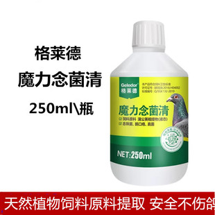 格莱德魔力念菌清赛鸽保健口黄积食念珠菌植物饲料添加剂非鸽子药