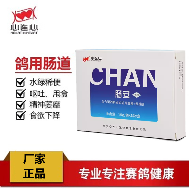 心连心肠安赛鸽信鸽子肠道绿便沙门氏肠炎水便用品沙杆饲料非鸽药