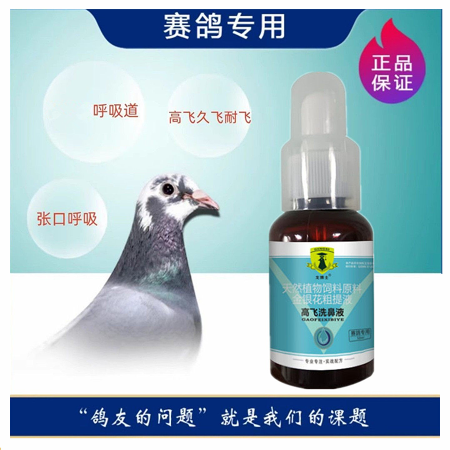 戈博士鸽子药呼吸道洗鼻净喷口净