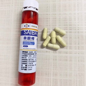 单眼伤风单眼棒翼能赛鸽衣原体