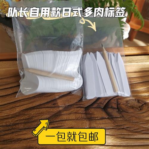 100枚包邮日式进口多肉标签T字1字标签插牌记号园艺标签pvc材质