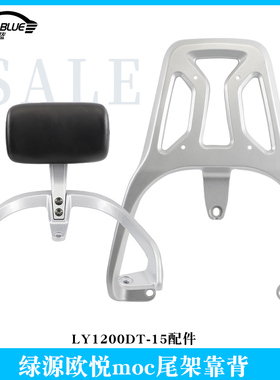 适用于绿源欧悦moc电动车尾架靠背LY1200DT-15后备箱支架腰靠衣架