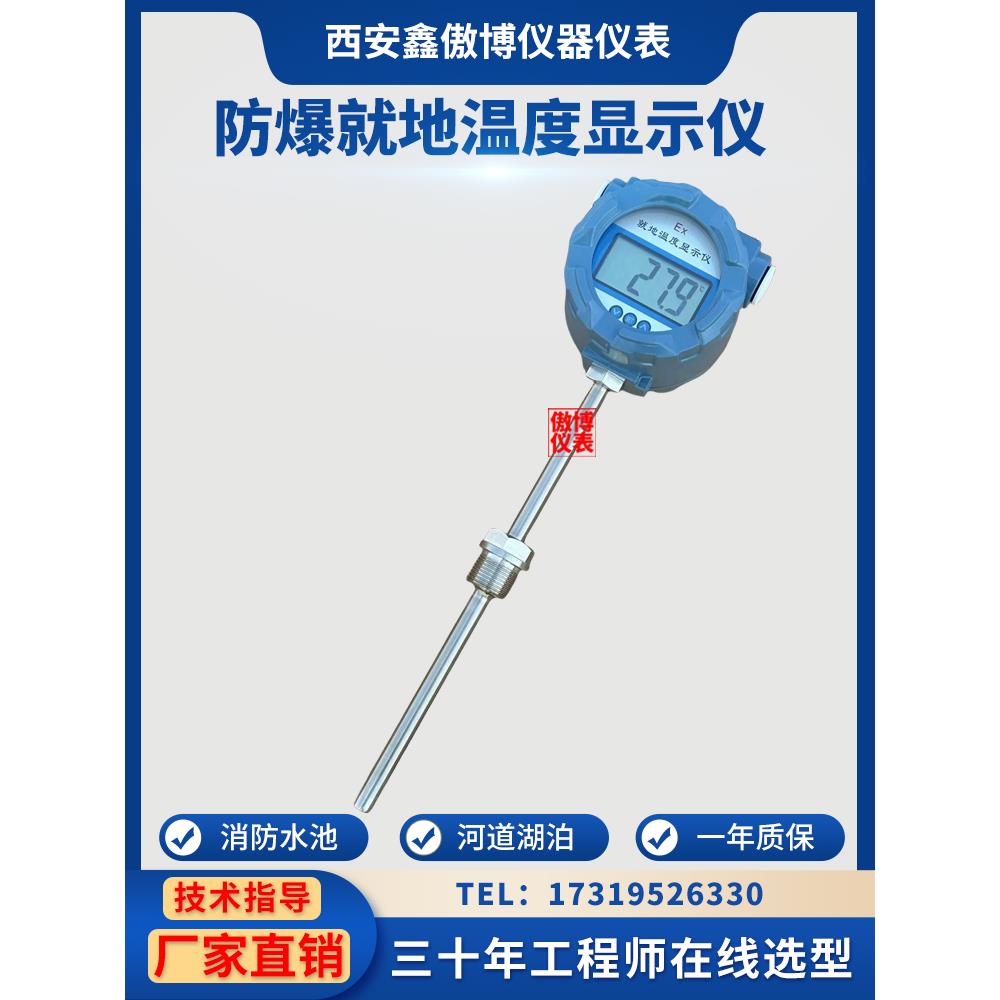 防爆分体式数显一体化温度变送器电池就地显示温度计高精度显示仪