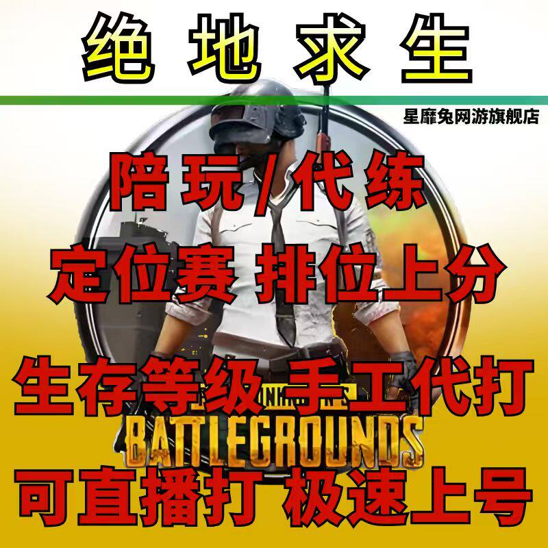 绝地求生PUBG陪打代打代肝代练竞技上分冲大师生存者匹配娱乐刷KD图片
