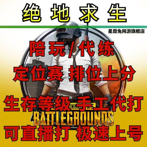 绝地求生PUBG陪打代打代肝代练竞技上分冲大师生存者匹配娱乐刷KD