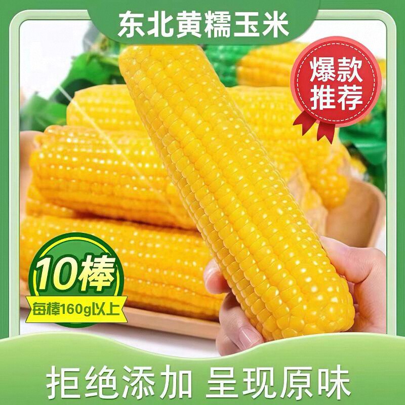 东北黄糯玉米甜嫩真空包装新玉米粘糯新鲜玉米棒苞米非即食现摘