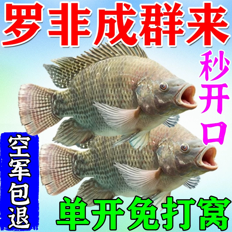 罗非狂咬钩】罗非专用饵料大福寿