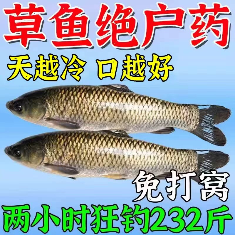 草鱼狂咬钩】草鱼小药黑坑野钓草
