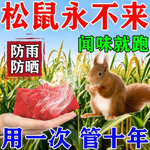 驱松鼠神器防松鼠偷吃药核桃园果园农田花生玉米地驱赶松鼠香精包