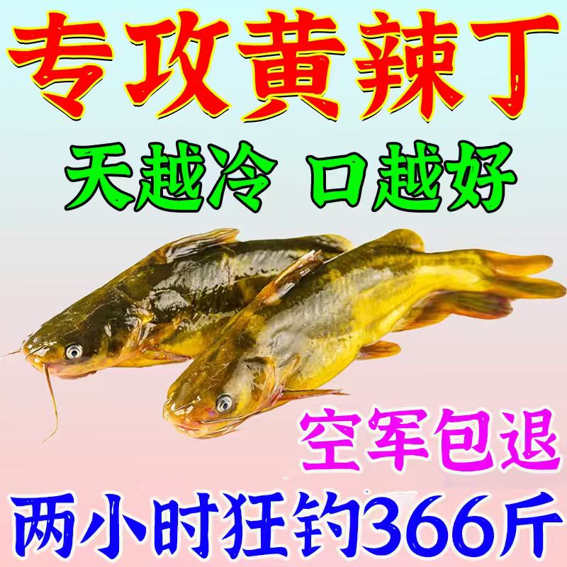 闻味就来】黄辣丁专用饵料窝料羊