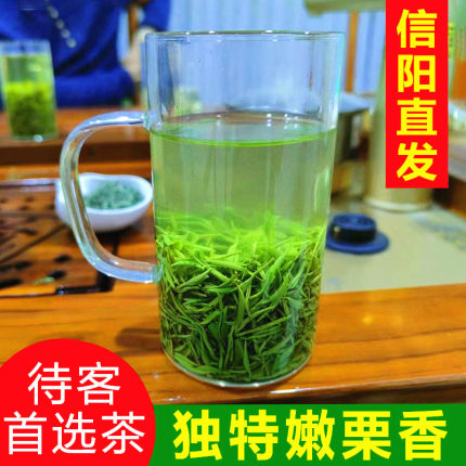 2026新茶信阳毛尖特级嫩芽250g毛尖雪芽绿茶散装春茶清香型茶叶