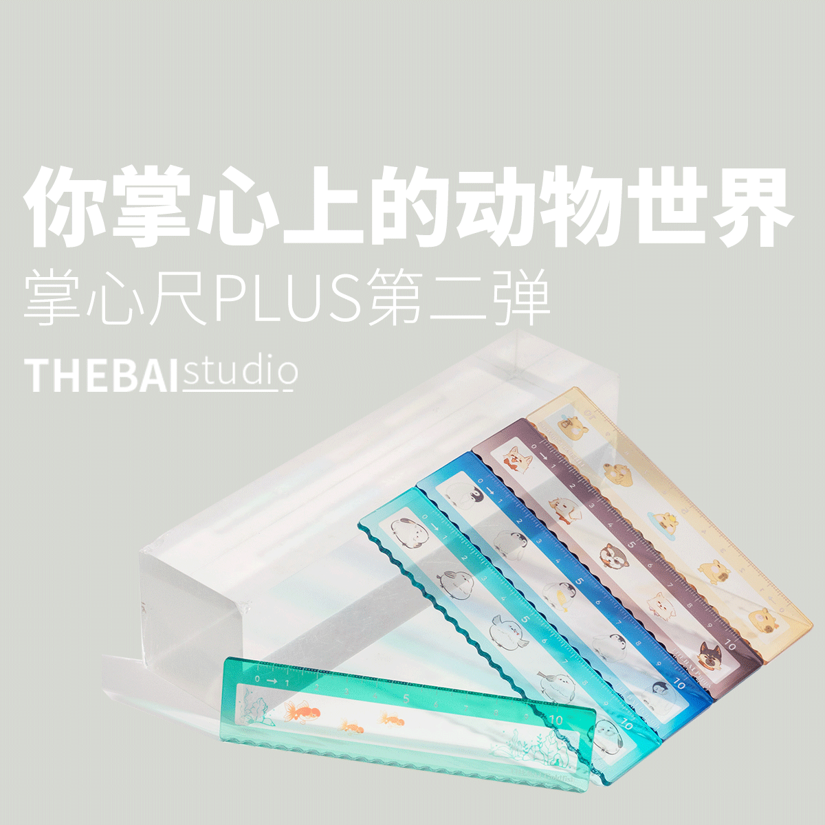 特尔湃THEBAI掌心尺plus动物世界小胖鸟10cm直尺亚克力高透尺卡皮