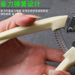 果树剪刀修枝神器摘果剪树剪花卉枝剪刀绿化嫁接园林园艺修剪剪枝