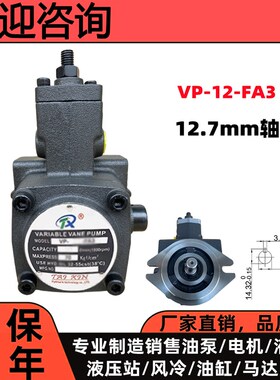 叶片泵液压站压头vp-20-FA3叶片液压帮浦15总成-30油泵HPV-40双联