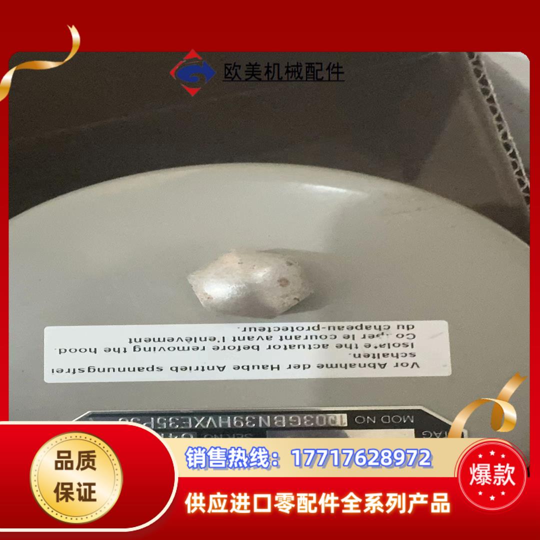 德国拜爵badger meter3/4寸伺服电机控制阀  型