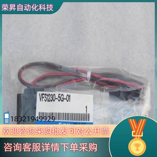 现货全新SMC电磁阀 VFS1230-5G-01 DC2