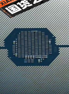 全新 华三拆机CPU 4210Ｒ 十核 2.4主频