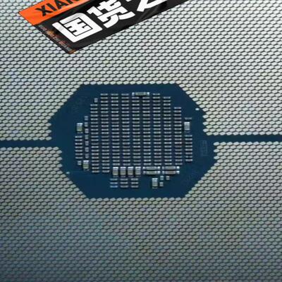 全新 华三拆机CPU 4210Ｒ 十核 2.4主频
