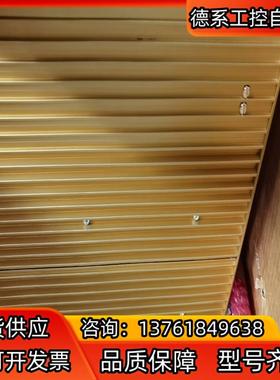 瑞典POLYAMP，DC/DC转换器PU1000。全新，全新