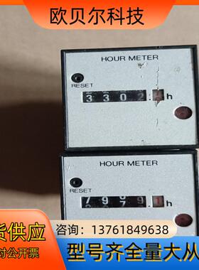 计时器 TH241S  共2只，220/只