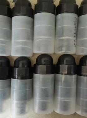 R900424288 DBDS30K1X/315现货