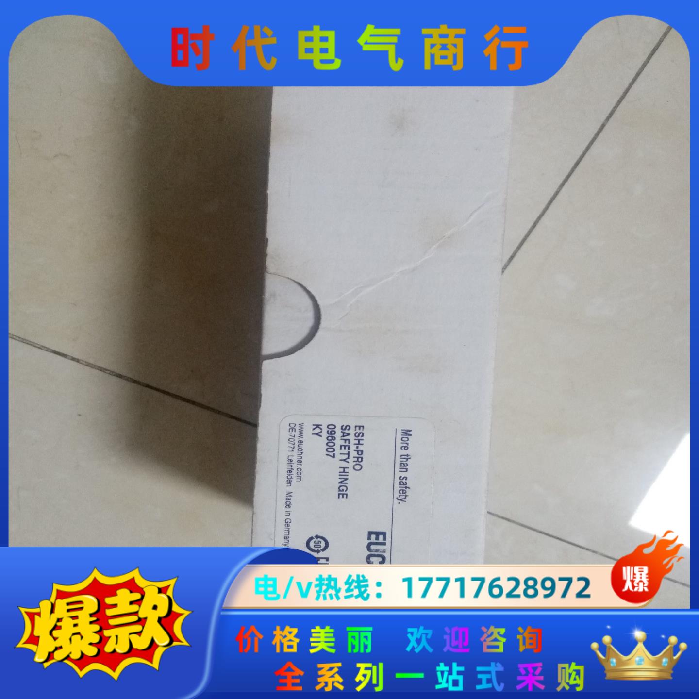 Euchner 096007 安士能安全门绞开关 ESH-P议价
